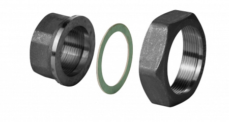 ALG322: Фитинг из кованного чугуна G2" / RP 1¼", комплект из 2 шт. шт. (BPZ:ALG322), Siemens